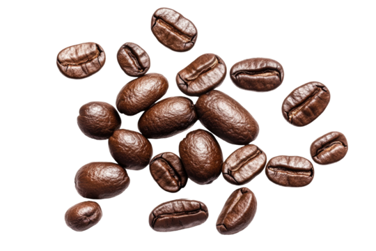 Flying High Quality Coffee Be Standard isolated on a transparent background