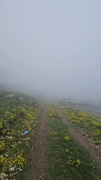 road in fog