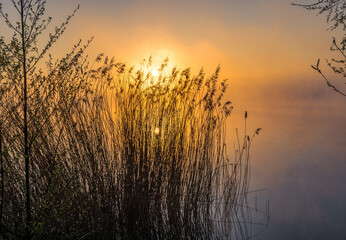Fototapeta premium Sonnenaufgang am See