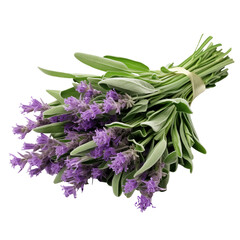 A bunch of lavender flowers tied together with a ribbon on a black color background image view png