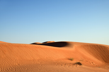 Dunes of Rub Al Khali desert. Wahiba Sands. Sultanate of Oman.