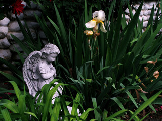 Garden With Yellow Iris And Statue-P1010085