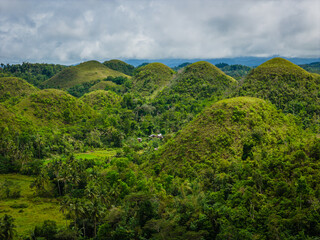 Fototapeta premium Aerial drone view of Chocolate hills in Bohol island, Philippines. Panoramic view of geological formation of green and brown hills