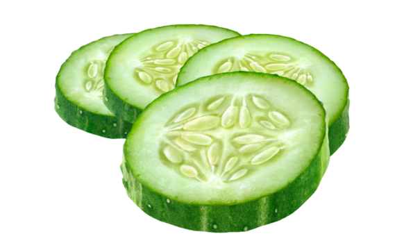 Four pieces of cucumber isolated on white background
