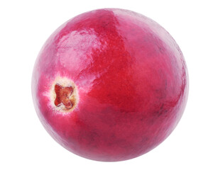 Fresh cranberry isolated, no background
