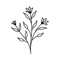 Fototapeta premium cottagecore style wildflowers with soft leaves sketch