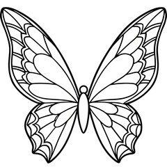 Obraz premium black and white butterfly line art 