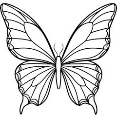 Fototapeta premium black and white butterfly line art 