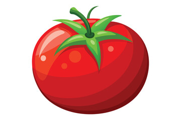 red tomato isolated vector on white