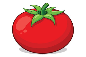 red tomato isolated vector on white