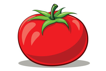 red tomato isolated vector on white