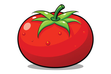 red tomato isolated vector on white
