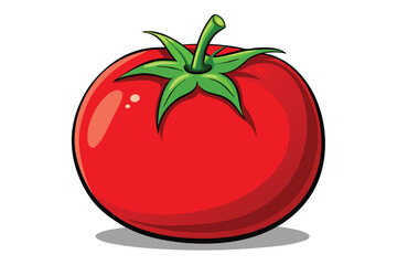 red tomato isolated vector on white