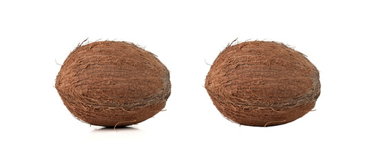 Whole coconut, one coco nut isolated, single fresh tropical palm fruit, natural milk, oil ingredient