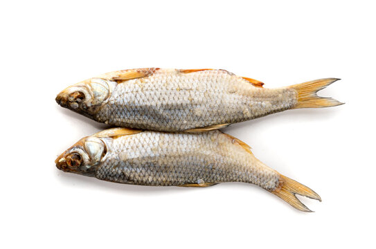 Dry roach, salted fish isolated, dried rutilus, taranka beer snack, whole salted and dried fish, prepared seafood