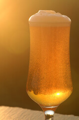Beer. A glass of beer close-up against the setting sun. A cold, light craft beer in a glass