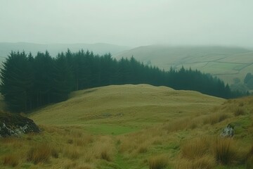 Obraz premium Misty valley landscape with rolling hills and trees