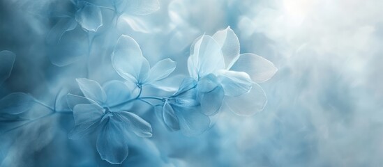 Fototapeta premium Delicate Light Blue Flowers, Soft Focus Background, Nature's Beauty, Soft pastel