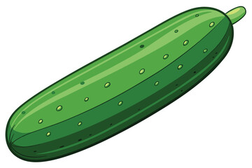 green cucumber isolated vector  on white