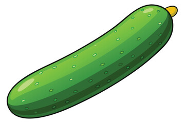 green cucumber isolated vector  on white