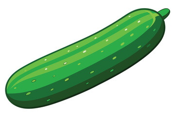 green cucumber isolated vector  on white