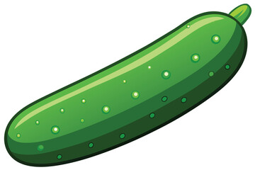 green cucumber isolated vector  on white