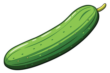 green cucumber isolated vector  on white