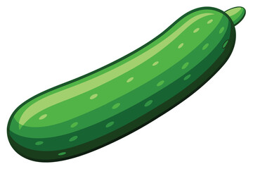 green cucumber isolated vector  on white