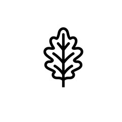 Outline of an Oak Leaf on a Minimalistic Background  