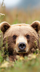 Obraz premium Bear conservation awareness: protecting natural habitats for wildlife preservation