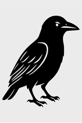 Obraz premium crow on a branch