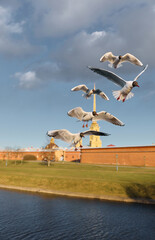 a flock of seagulls against the backdrop of the Peter and Paul Fortress spire at sunset