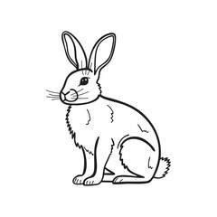 Rabbit Line art illustration isolated on white background