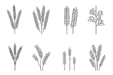 Sacher Torte clean 2D line art