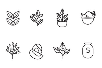 Sage line art minimalist design illustration