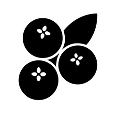 blueberries glyph flat vector icon