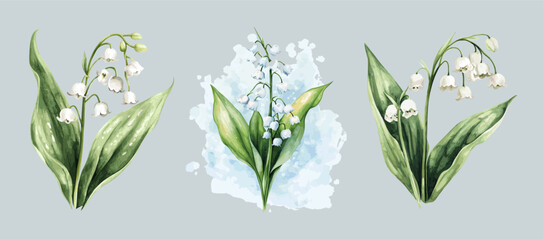 Lilies of the valley watercolor