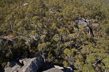 View from the Granite Skywalk in Porongurup National Park in Western Australia, Australia
