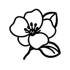 flowering quince icon  flat vector icon