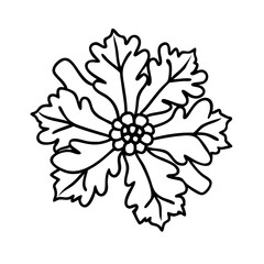 cineraria icon  flat vector icon