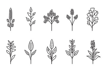 Solar Energy Icon Simple Line Art