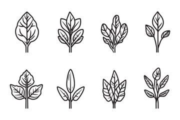 Spinach Minimalist 2D Line Art Icon