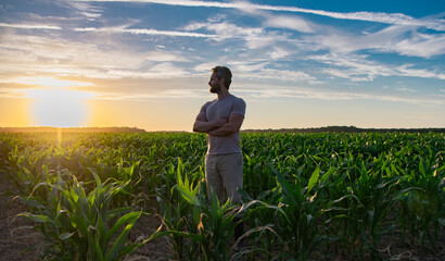Fototapeta premium A farmer inspects the cornfield on sunset. The male farmer works outdoors in the field. Agricultural worker farmer harvesting corn. A man examines the maize crop. Farmers work to harvest the crop.