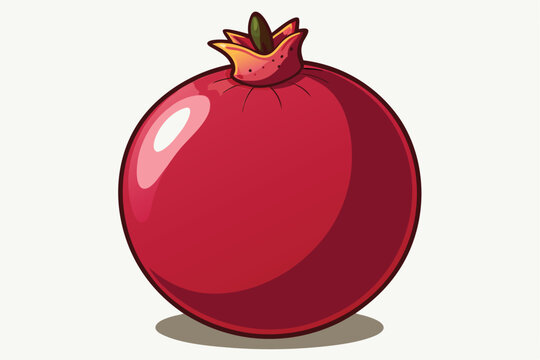 recommend clip art: pomegranate fruit vector illustration .