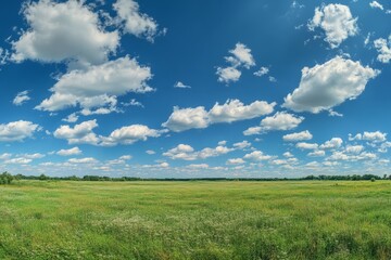 Obraz premium Stunning panoramic view of a clear summer day with blue sky and white clouds in sharp focus