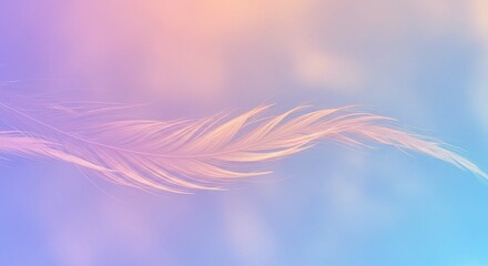 Delicate Single Feather Floating on Pastel Dreamy Sky Background