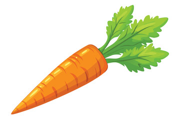 vector illustration of a fresh carrot