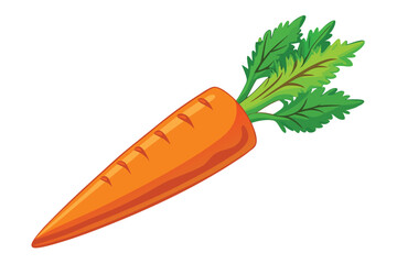 vector illustration of a fresh carrot