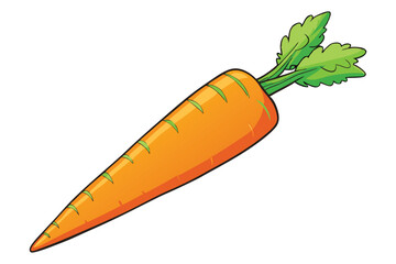 vector illustration of a fresh carrot