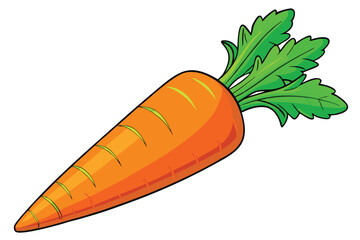 vector illustration of a fresh carrot